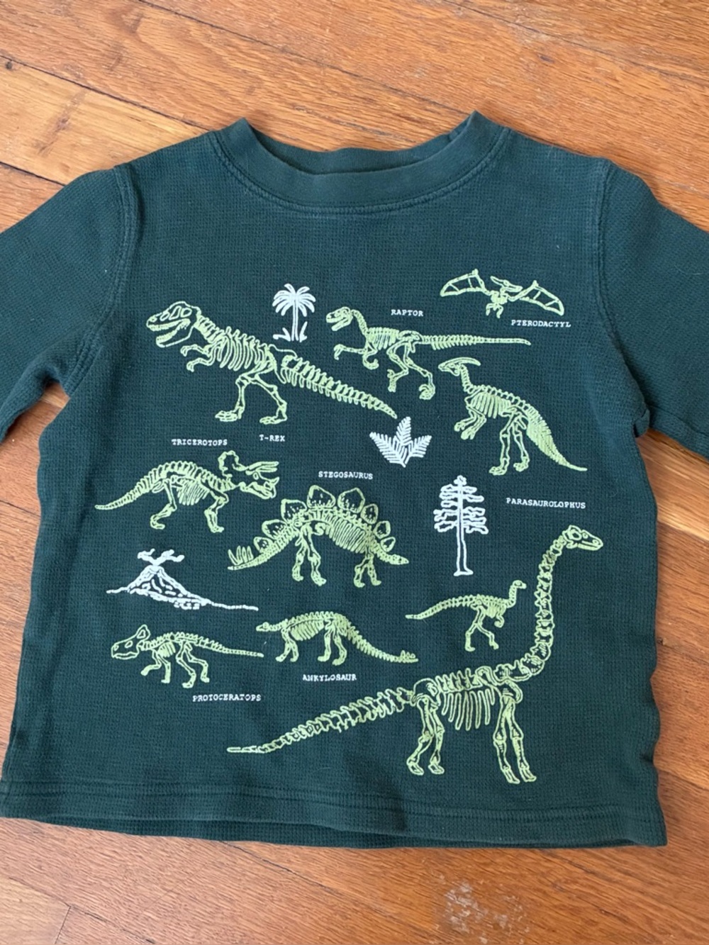 Carters Dinosaur Tee